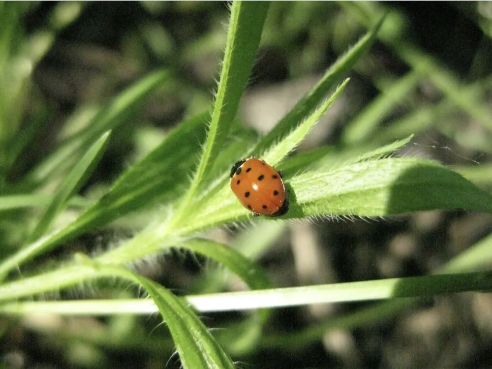 Photograph by Полина Мумряева