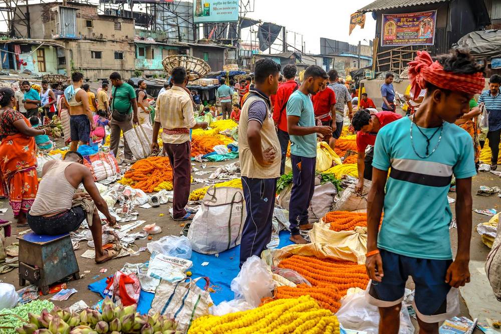 Фотография автора Debapriya Dasgupta