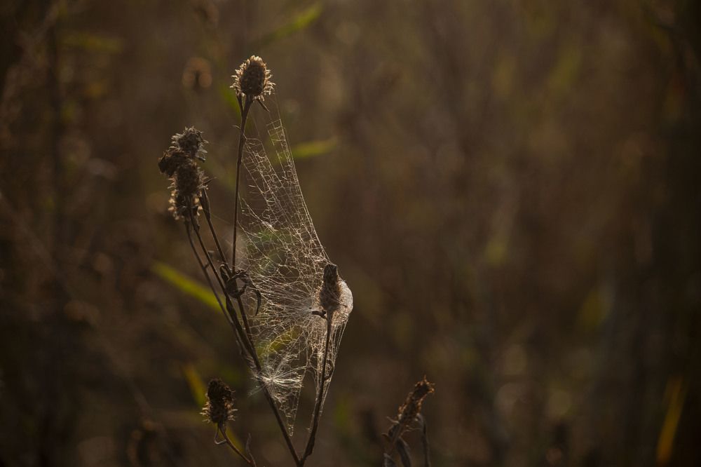 Photograph by Владислав Капанов