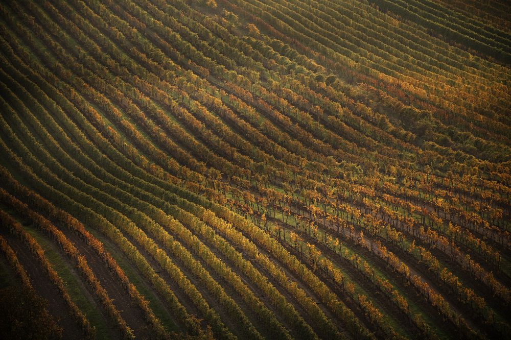 Photograph by Георгий Бычковский