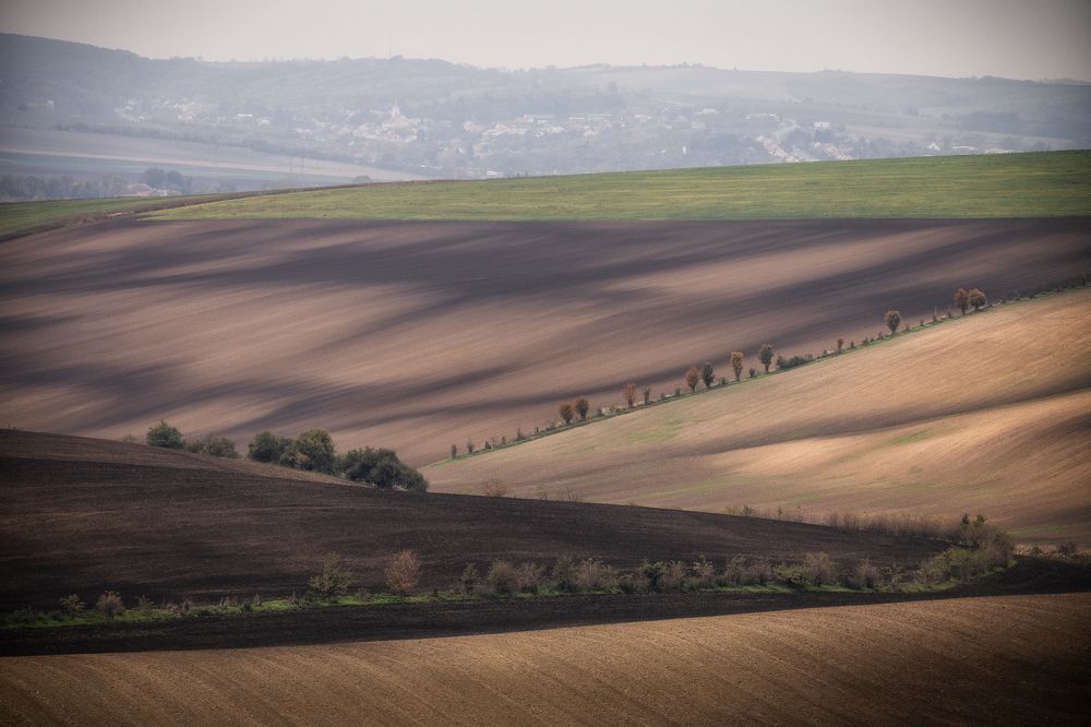 Photograph by Георгий Бычковский
