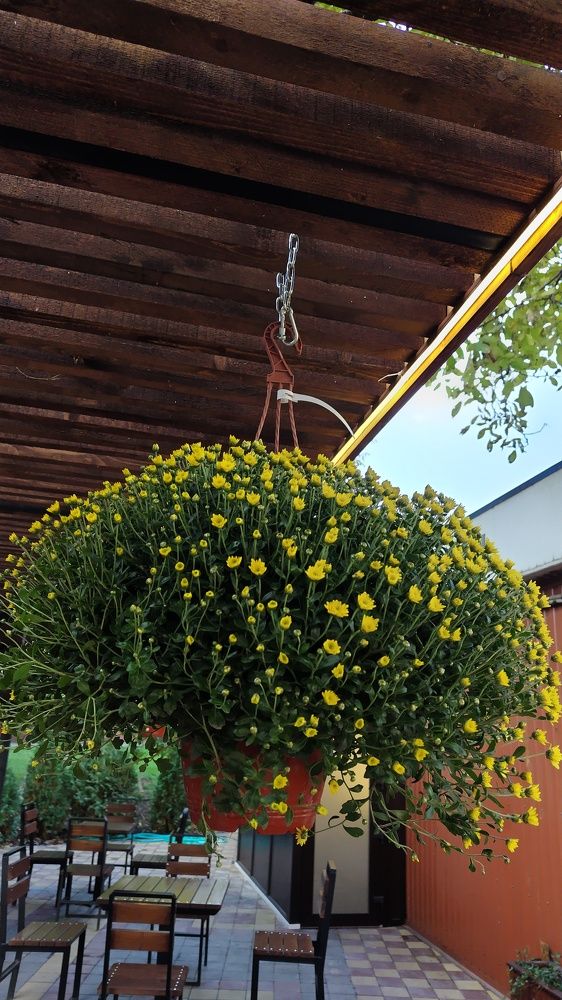 Photograph by Евгения Самвеловна Григорян