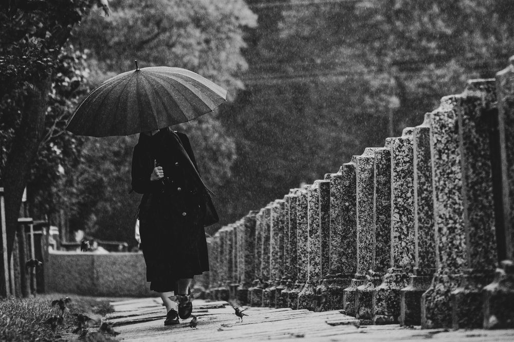 Фотография автора Виталий Волошин