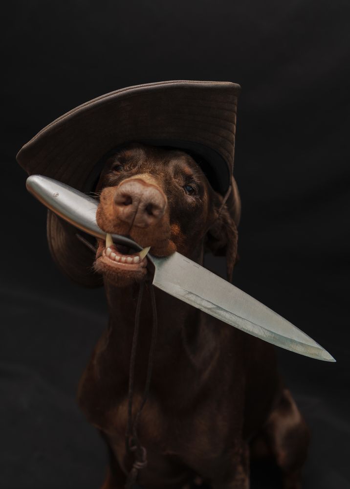 Photograph by Мария Клещенко