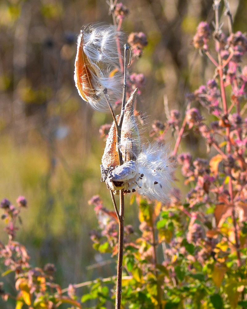 Photograph by Ken Oliver