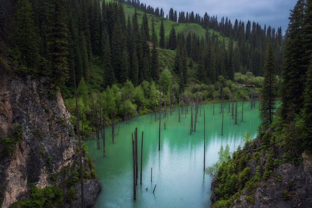 Photograph by Gureva Elena