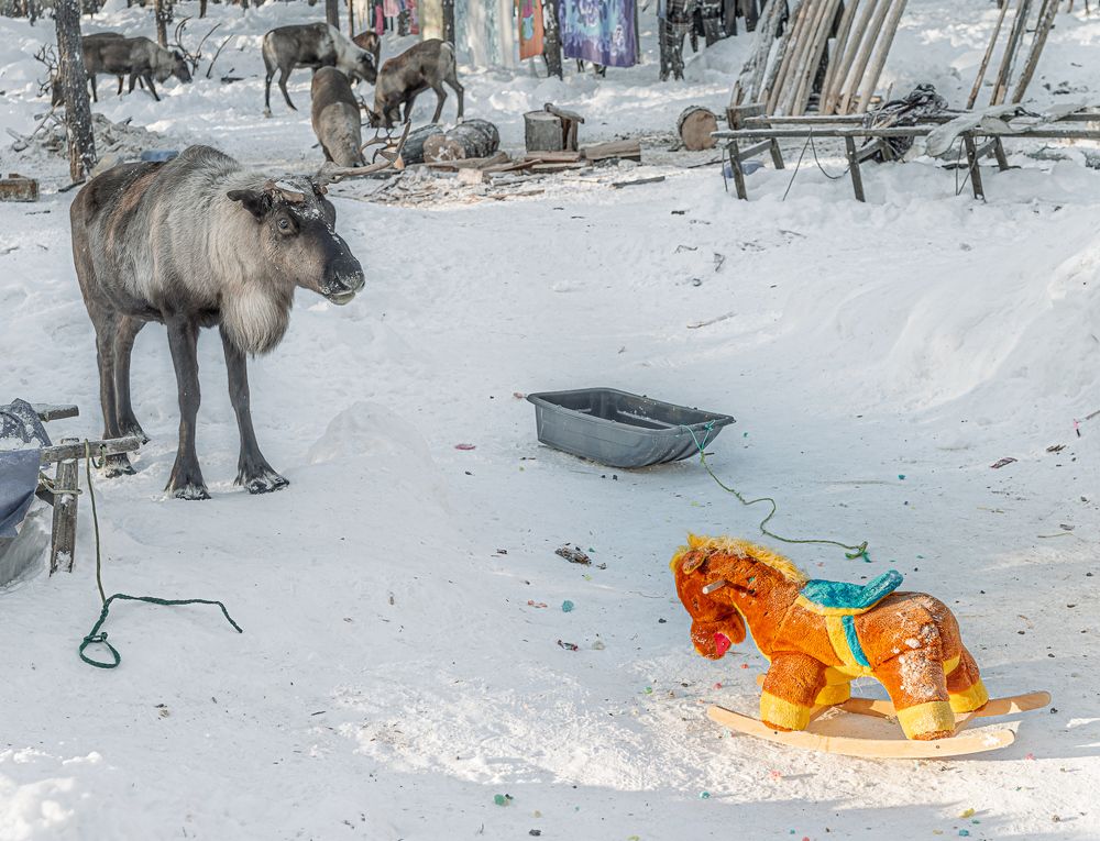 Photograph by Лактионов Анатолий