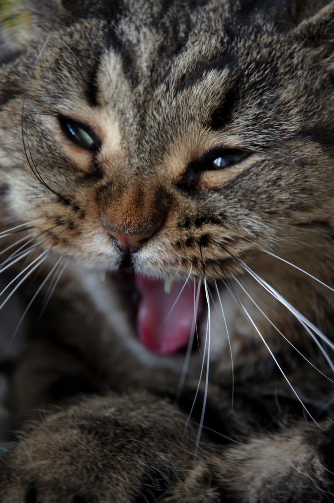 Photograph by Nadezda Sarap