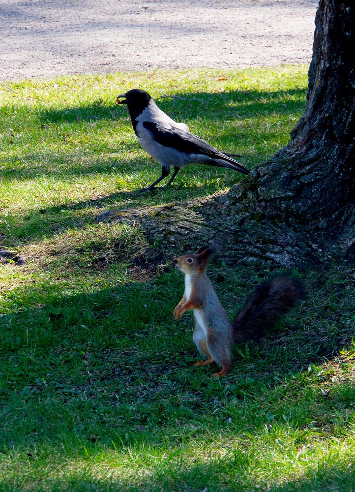 Photograph by Nadezda Sarap