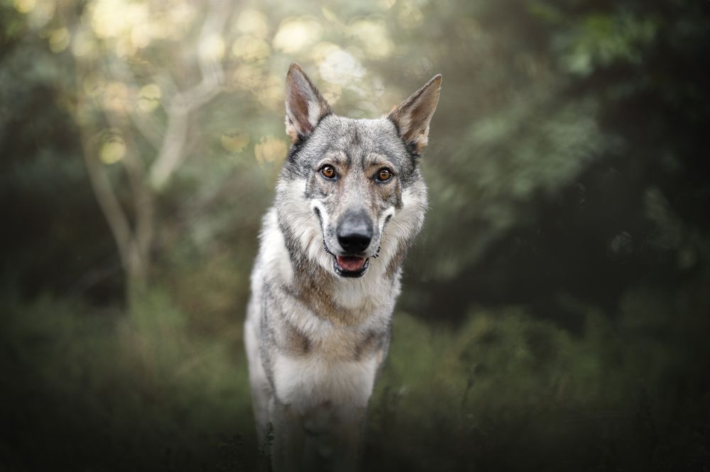 Фотография автора Ana Sánchez