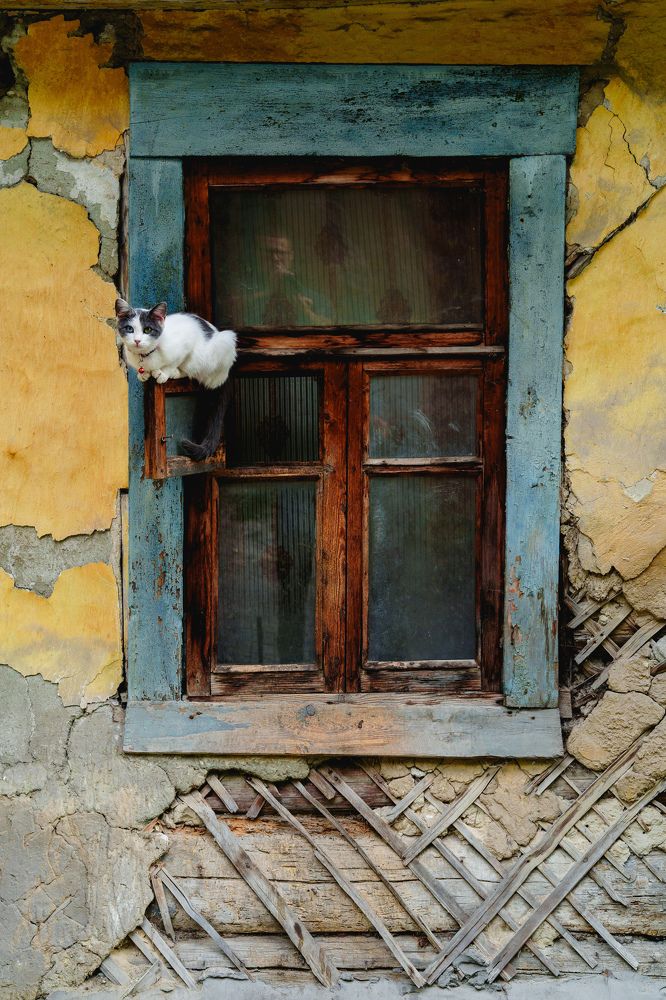 Photograph by Вертиков Юрий