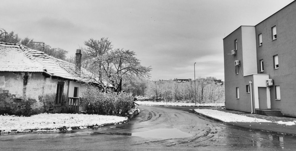 Photograph by Dragan Leles