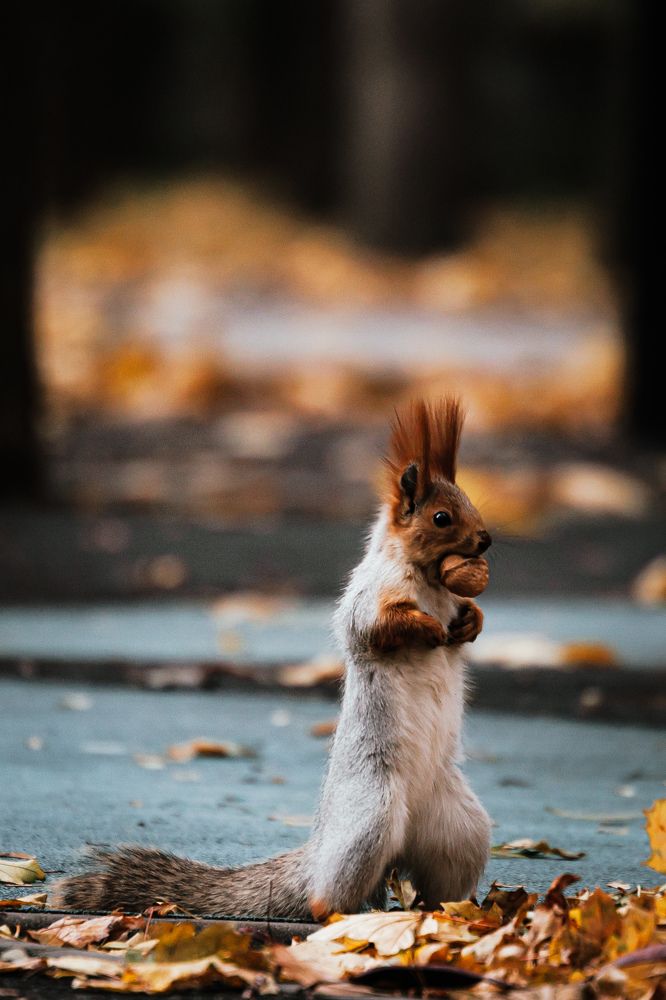 Photograph by Ника Обида