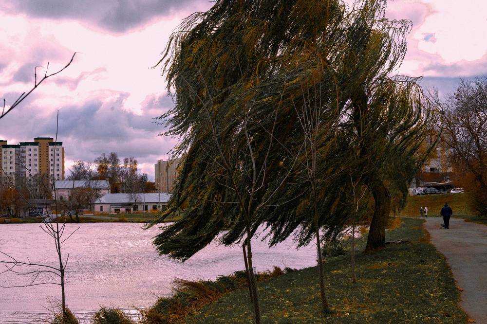 Фотография автора марина леоненко