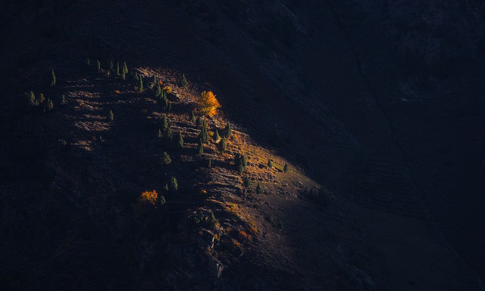 Photograph by Hussain Muhammad Asmar