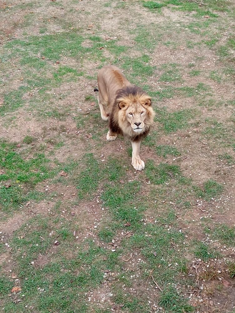 Photo #11293743