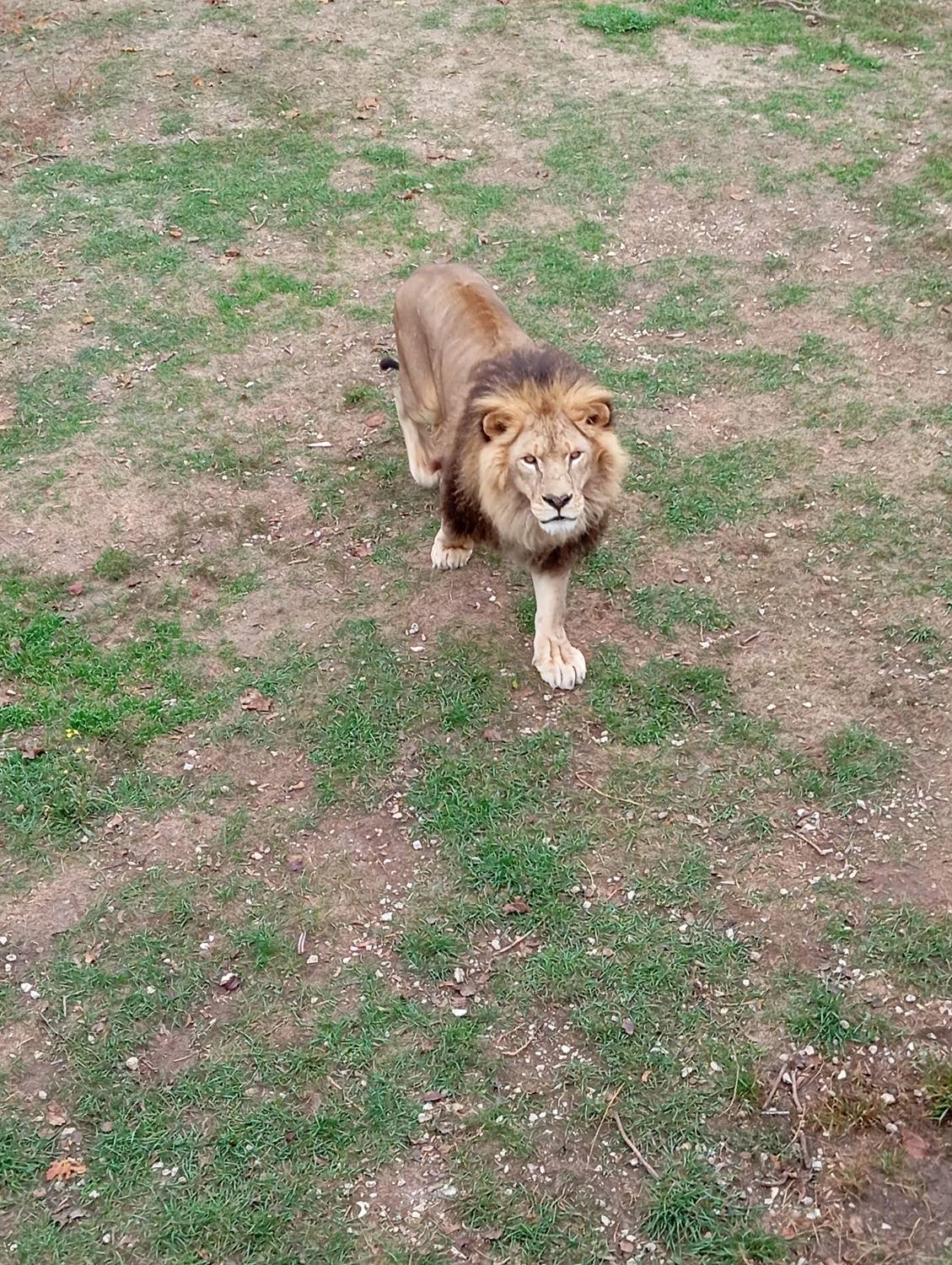 Photo #11293743