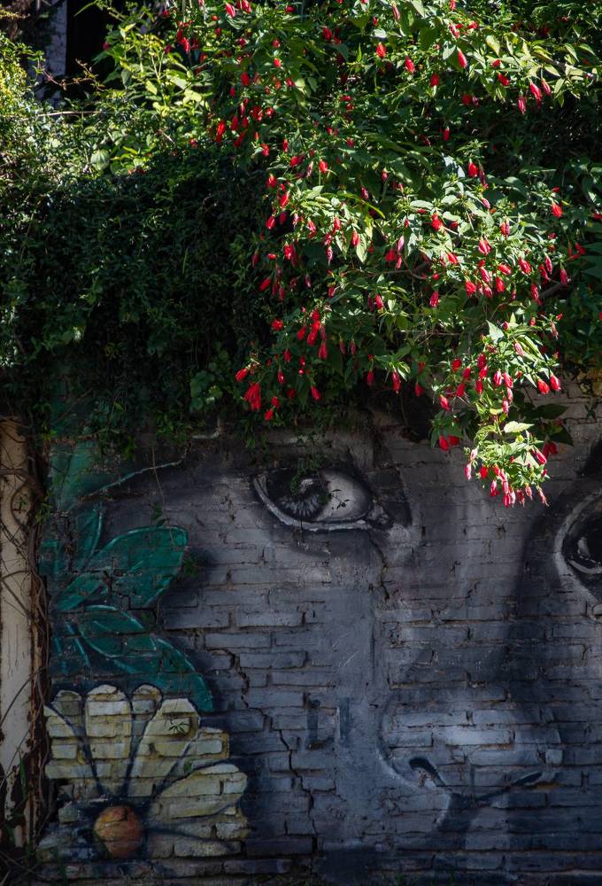 Photograph by Silvana Blanc