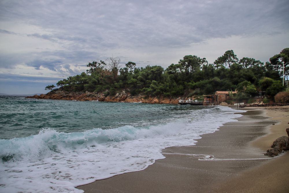 Фотография автора vanessa elbin