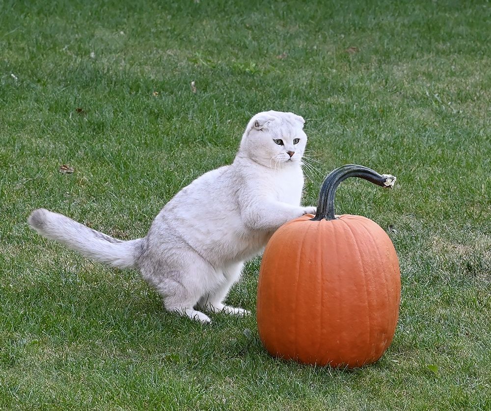 Photograph by Наталья Маркова