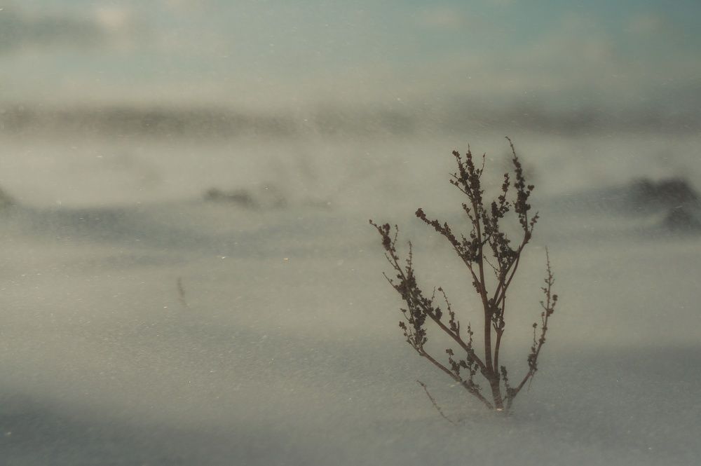 Фотография автора Сергей Вдовин
