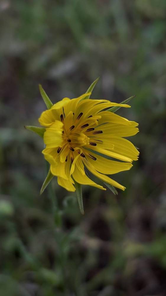 Photograph by Елена Гущина