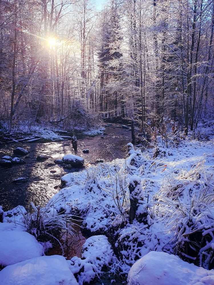 Photograph by Константин Леонюк