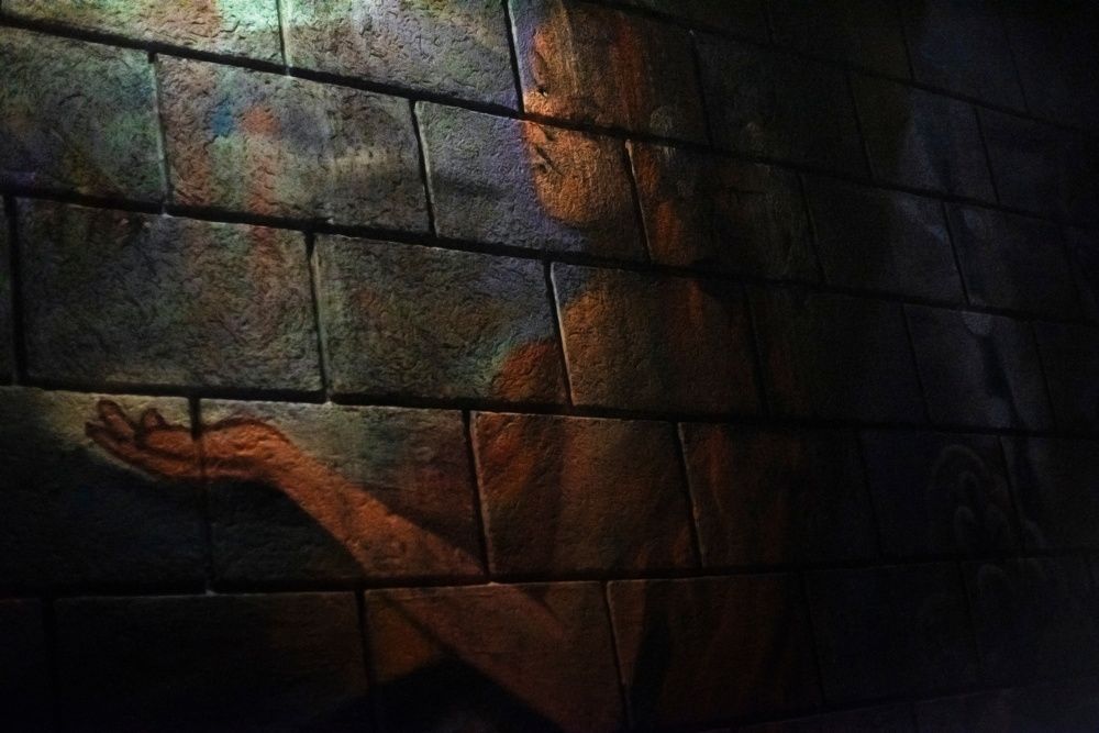 Photograph by Дария Ризниченко