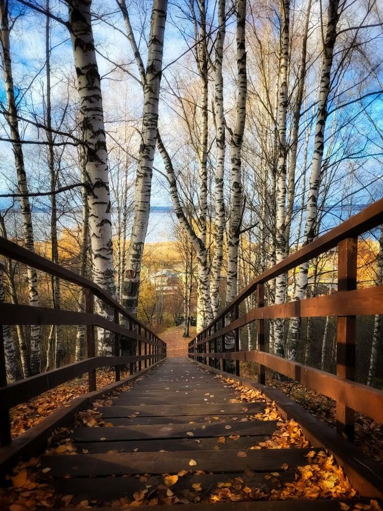 Photograph by Сергей Назаредский