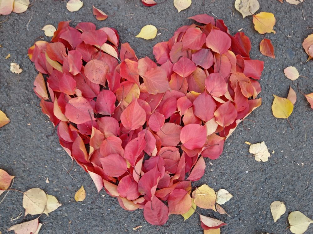 Photograph by Евгения Горячева