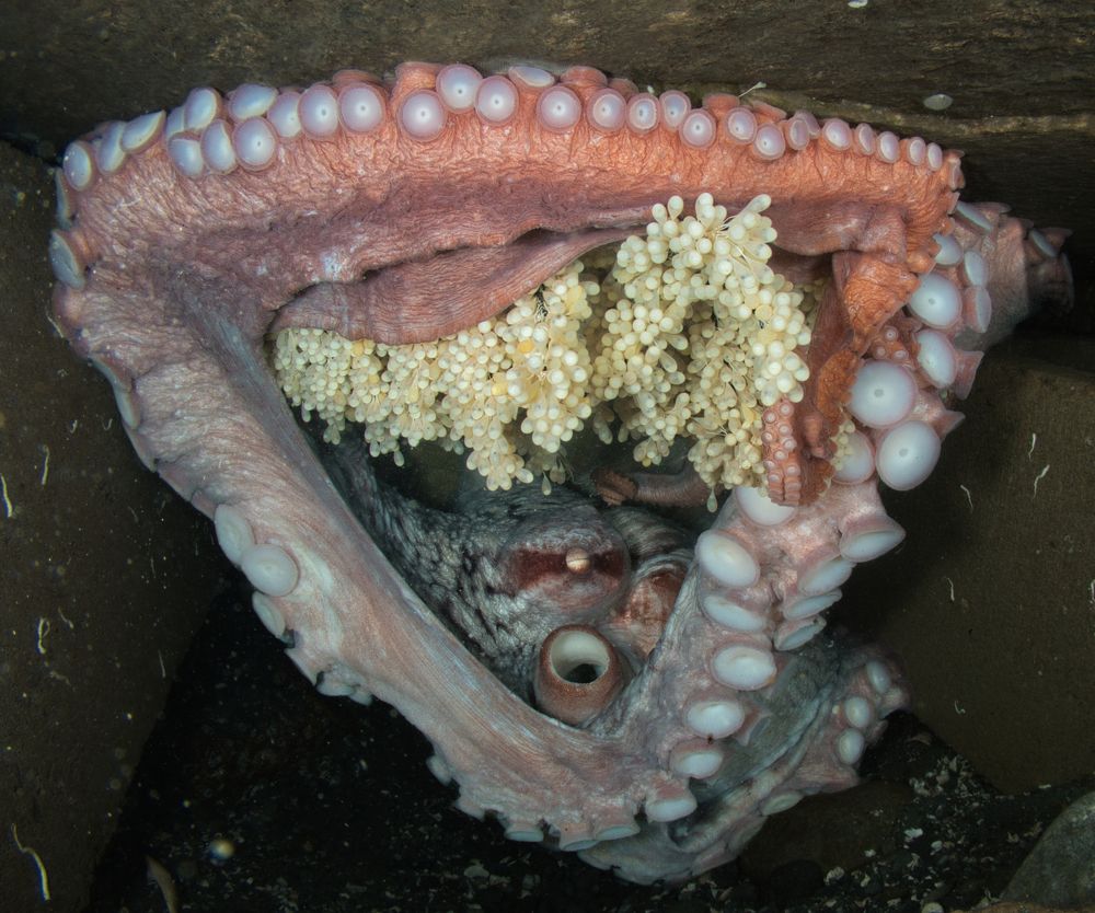 Photograph by Shuo-Wei Chang