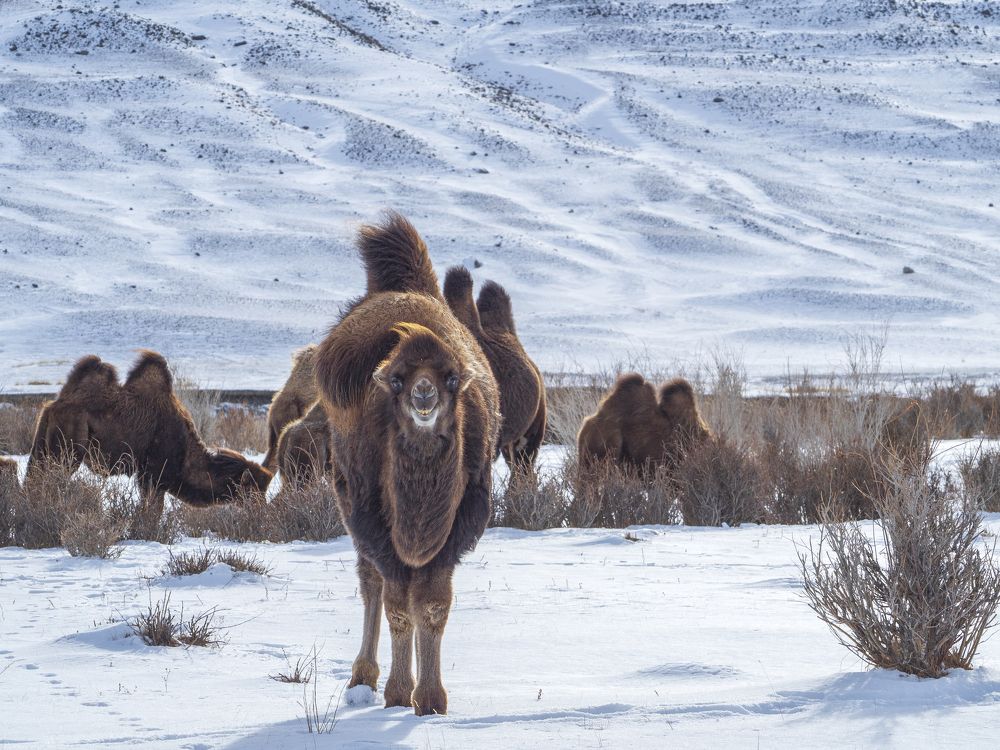Photograph by Надежда Михайлина