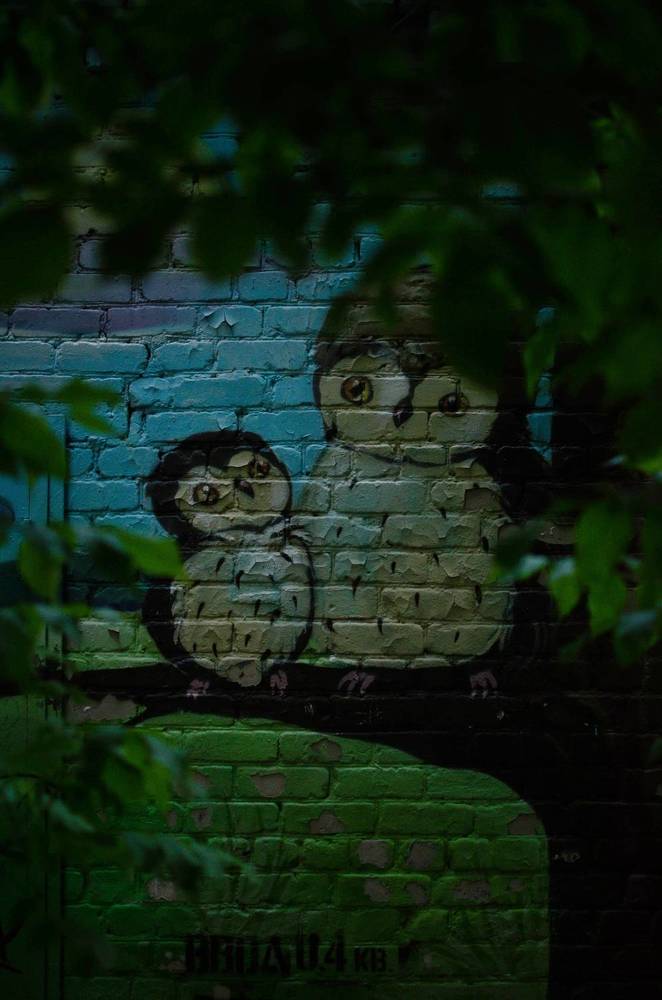 Photograph by Анастасия Тихомирова