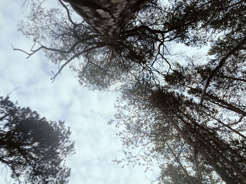 Photograph by Лариса Натальская