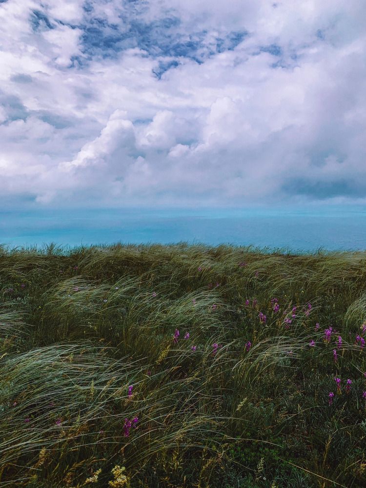 Photograph by Мария Василенко