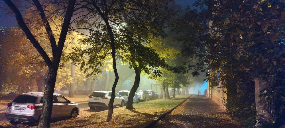 Город в тумане