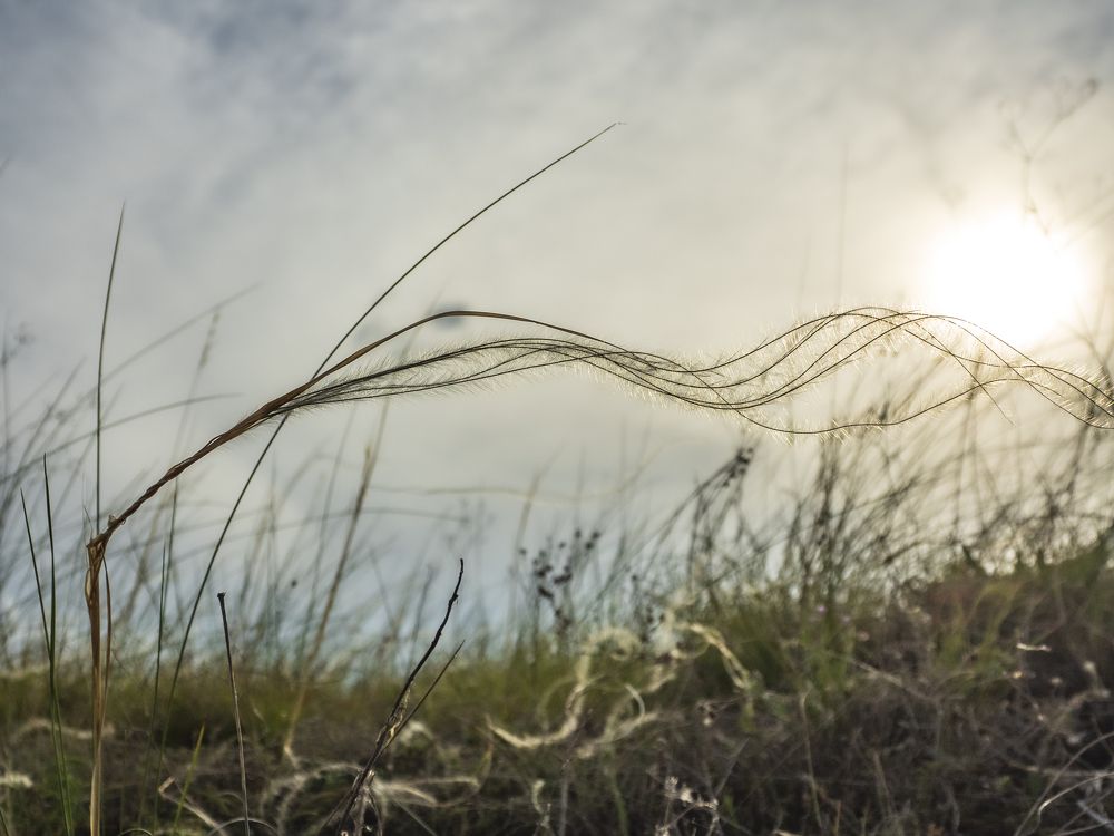 Photograph by Надежда Михайлина