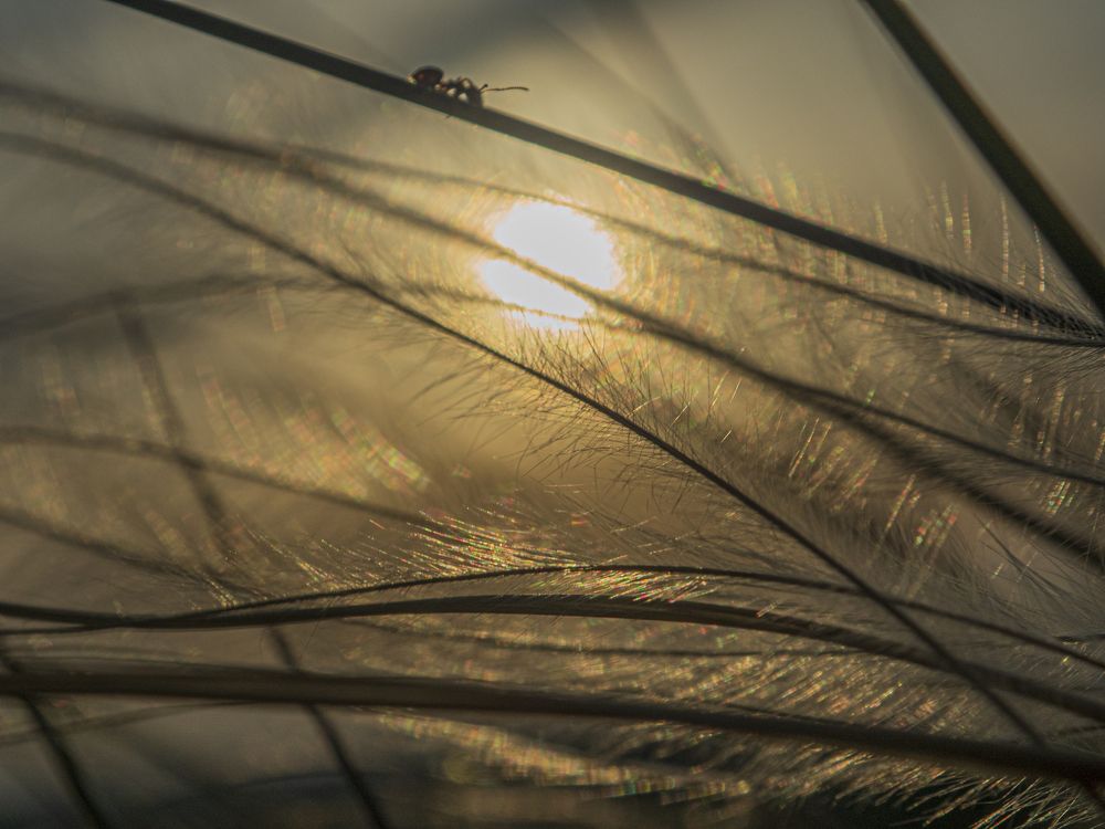 Photograph by Надежда Михайлина