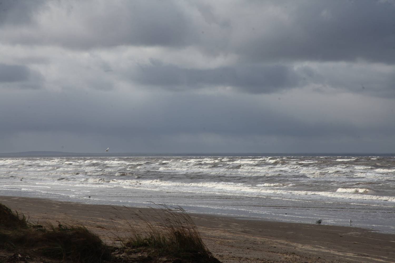 Photo #11294221