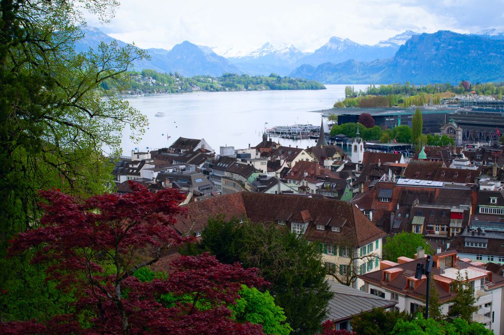 Photograph by Анна Лялина