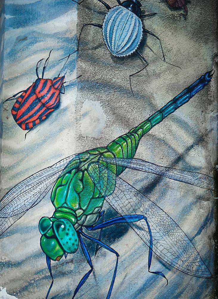 Photograph by Анна Лялина