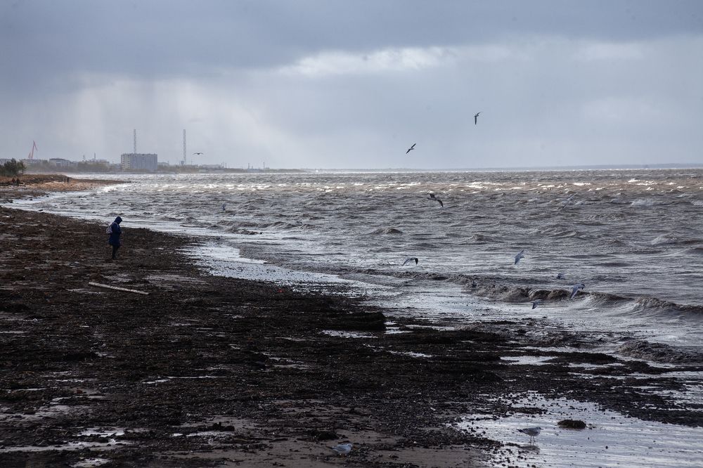 Photograph by Людмила Новосёлова