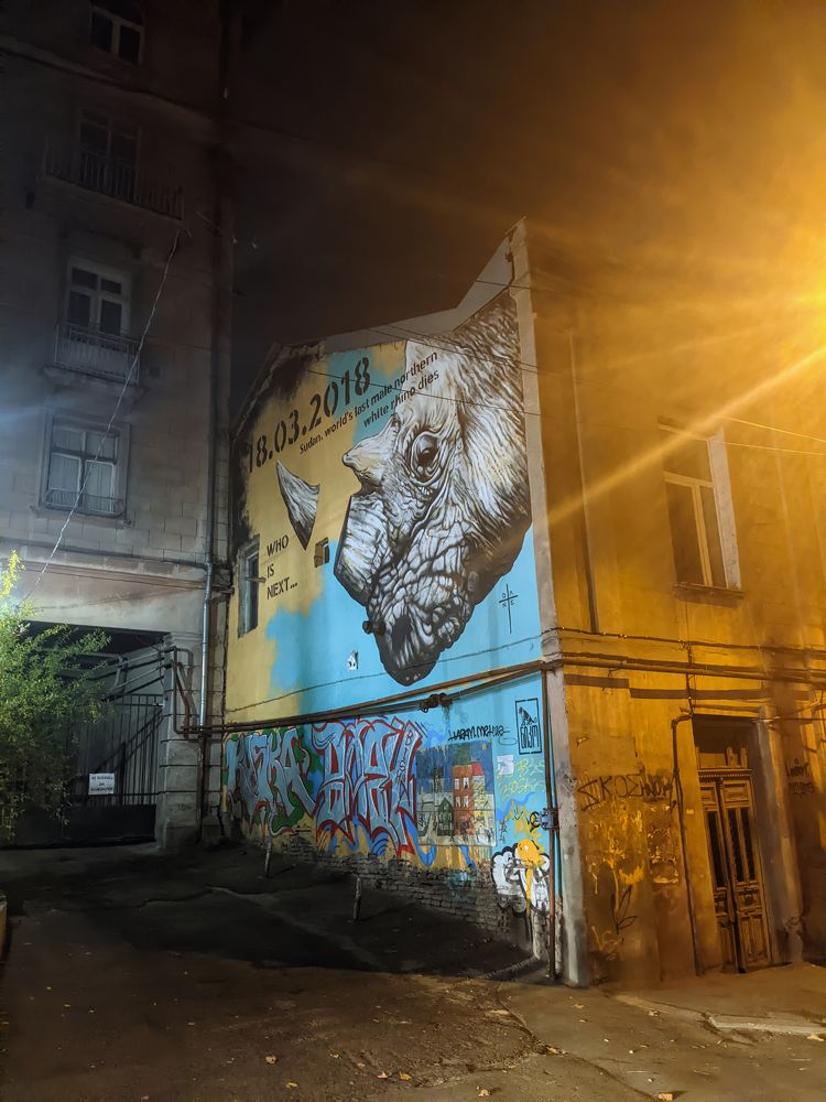 Photograph by Дудников Александр