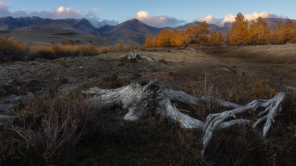 Photograph by Мозжухин Максим