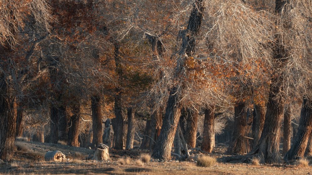 Photograph by Мозжухин Максим