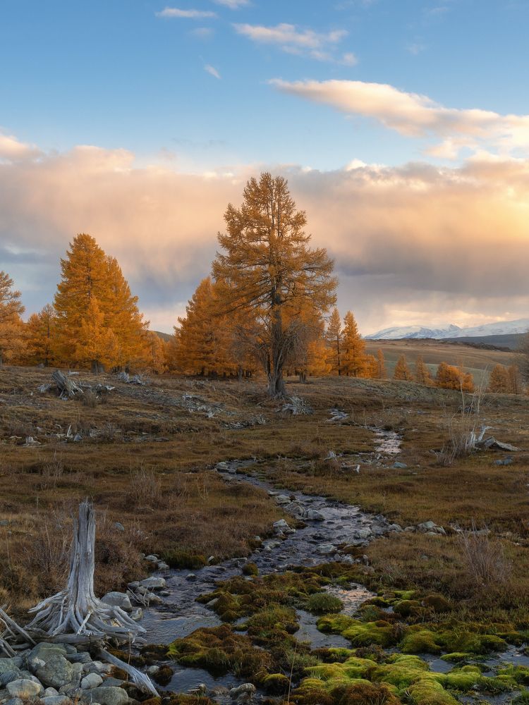 Photograph by Мозжухин Максим