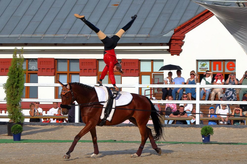 Фотография автора Светлана