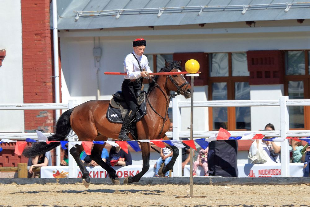 Фотография автора Светлана