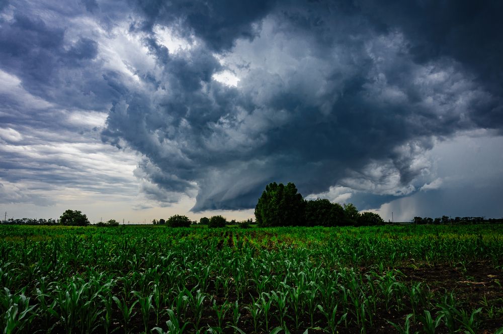 Photograph by Александр Редько