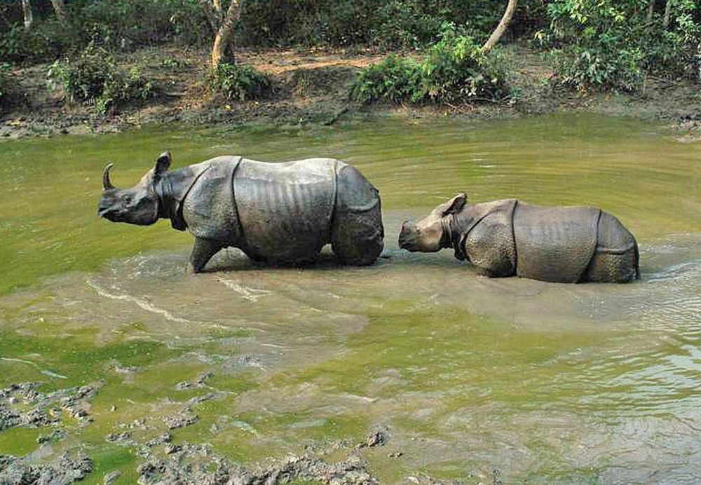 Photograph by Хвостов владимир Владимирович